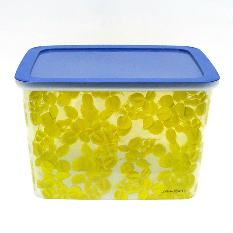 Сортировочная коробка для литья под давлением в этикетке пресс-формы