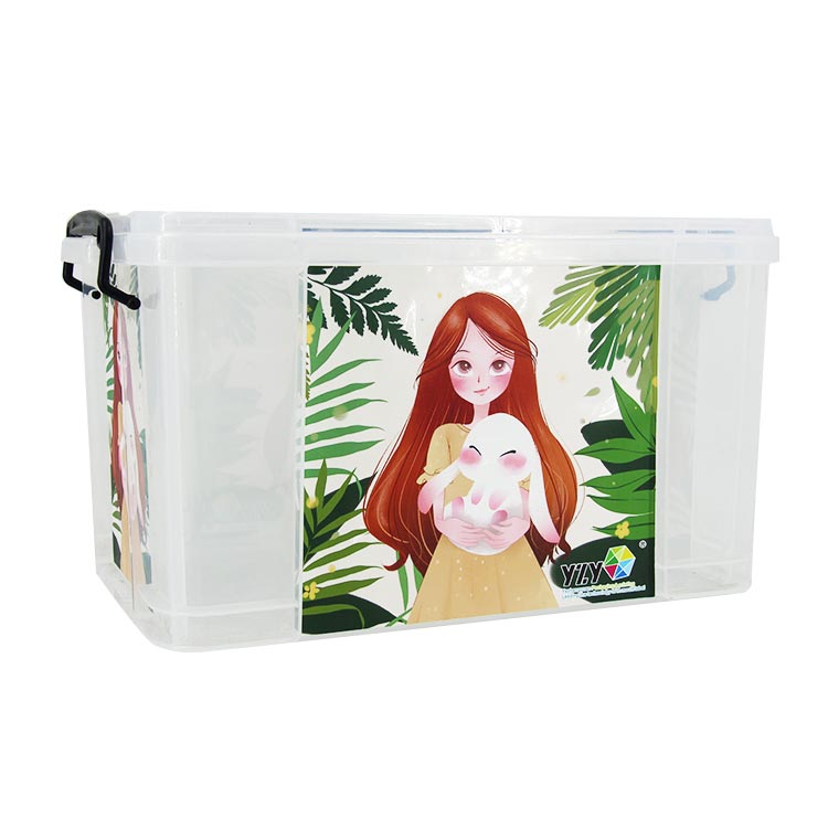 Литье под давлением Tote Box в пресс-форме